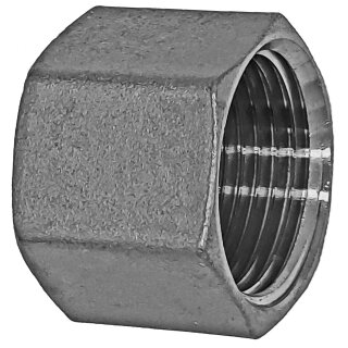 Gewinde-Fitting aus Edelstahl > Kappe mit Innengewinde mit Dichtung und Sechskantantrieb (IG)